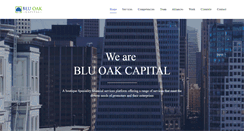 Desktop Screenshot of bluoakcapital.com
